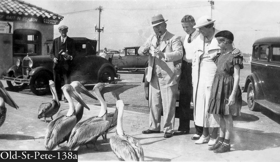 Feeding the pelicans on the St Pete Pier
