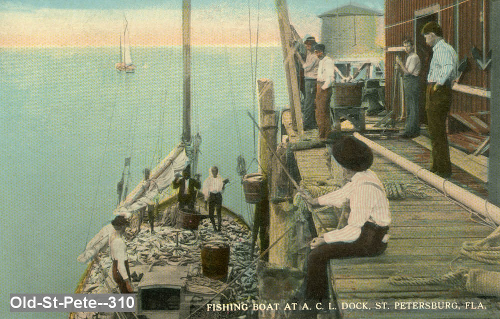 Fishing on ACL dock in St Petersburg, Florida