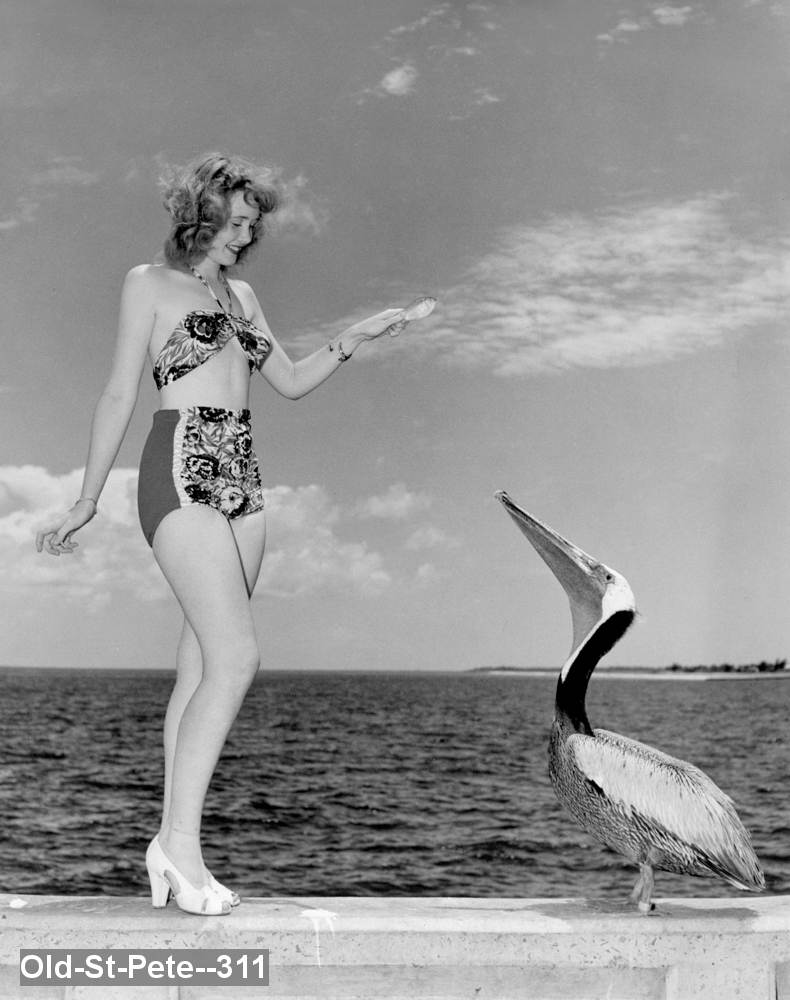 Girl feed a pelican on st peter pier